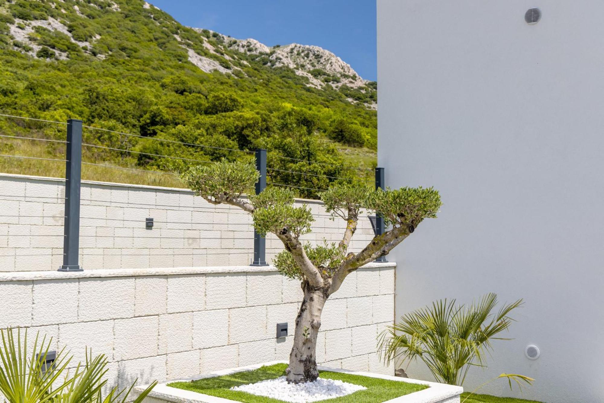 Villa Bellezza Draga Bašćanska エクステリア 写真